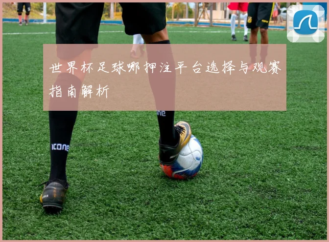 世界杯足球哪押注平台选择与观赛指南解析