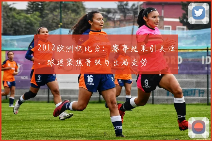 2012欧洲杯比分：赛事结果引关注，球迷聚焦晋级与出局走势