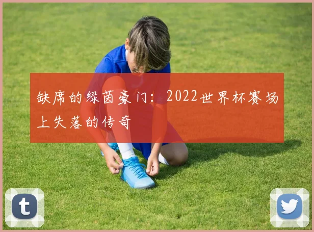 缺席的绿茵豪门：2022世界杯赛场上失落的传奇