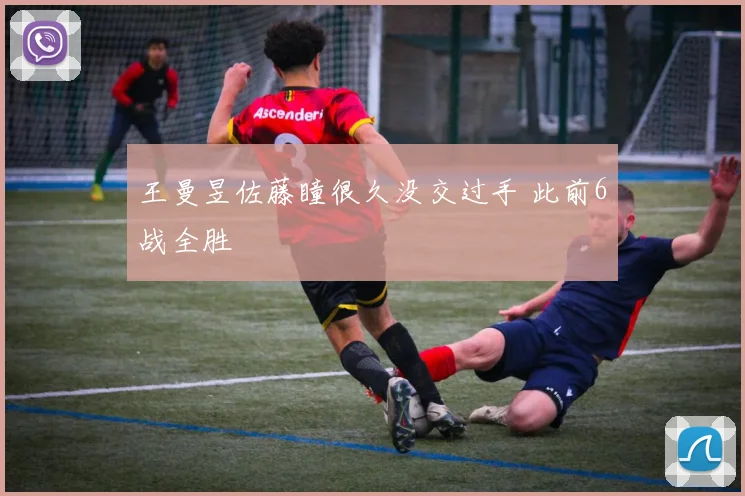 王曼昱佐藤瞳很久没交过手 此前6战全胜