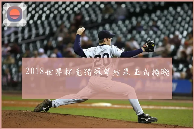 2018世界杯竞猜冠军结果正式揭晓