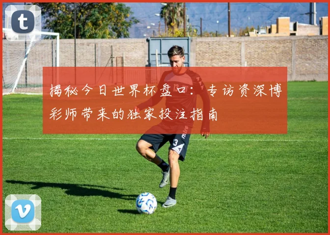 揭秘今日世界杯盘口:专访资深博彩师带来的独家投注指南